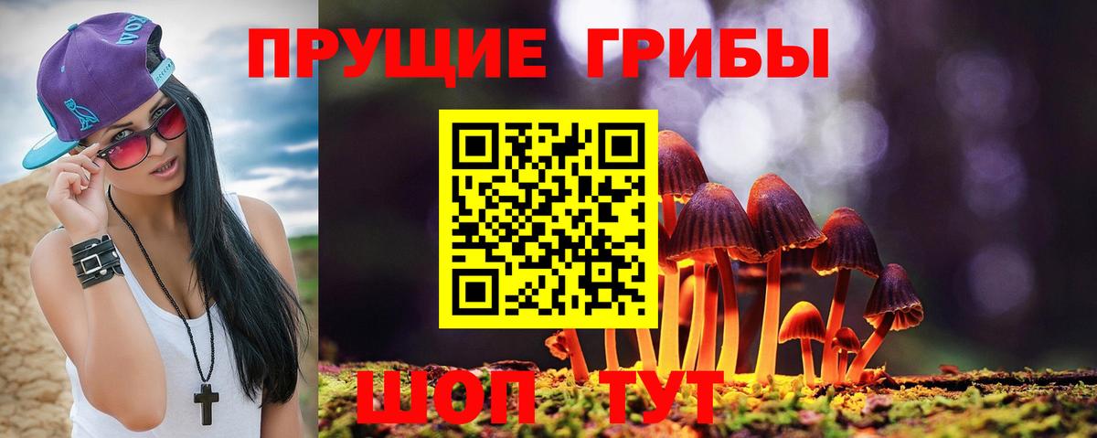 Галлюциногенные грибы Cubensis  Вход с VPN  Майкоп 